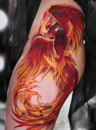 Feathered Phoenix Rising from the Ashes