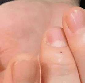 What Does A Single Dot Tattoo Mean, single dot tattoo on hand meaning, Single Dot Tattoo, Single Dot Tattoo ideas, Single Dot Tattoo Mean,