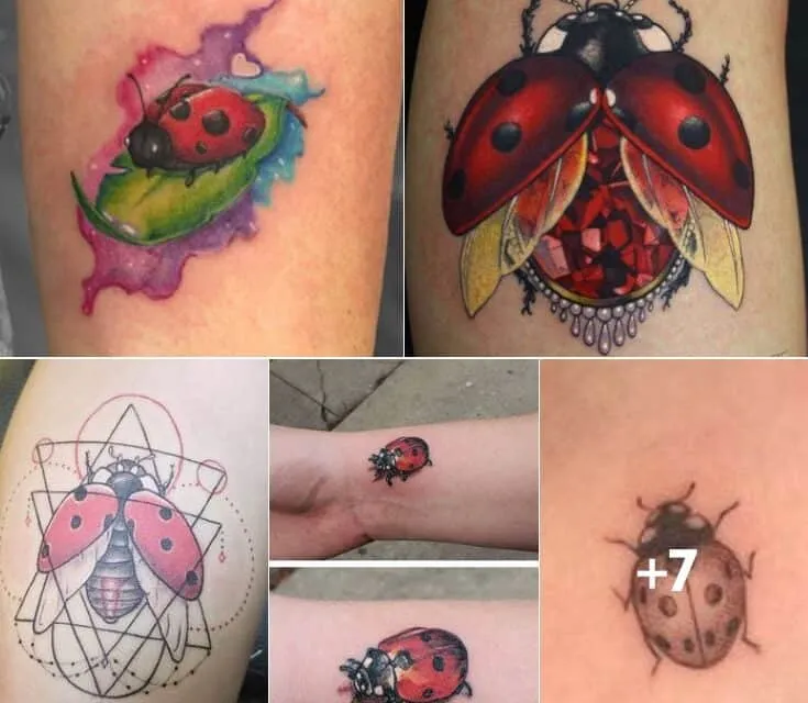 What Do Ladybug Tattoos Mean?