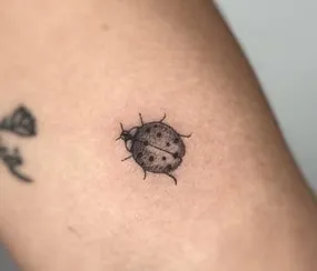 Minimalist Ladybug Tattoo Ideas1 Minimalist Ladybug Tattoo Ideas1