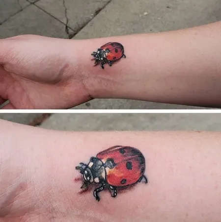 Realism Ladybug Tattoo Ideas Realism Ladybug Tattoo Ideas