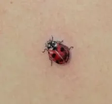Realism Ladybug Tattoo Ideas2 Realism Ladybug Tattoo Ideas2