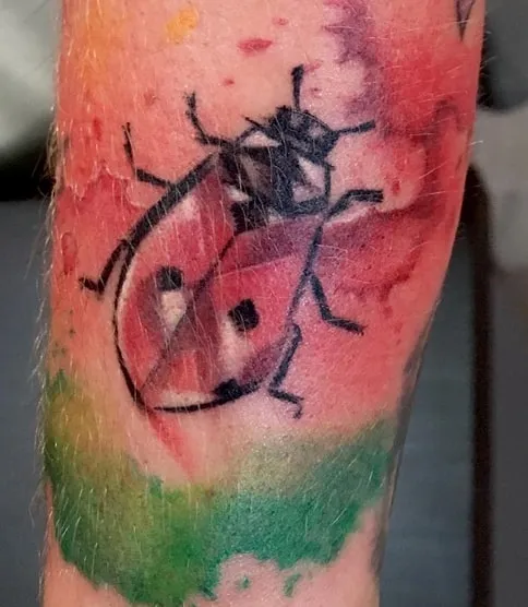 watercolor ladybug tattoo ideas watercolor ladybug tattoo ideas