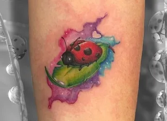 watercolor ladybug tattoo ideas2 watercolor ladybug tattoo ideas2