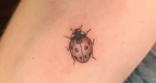 what do ladybug tattoos mean 1