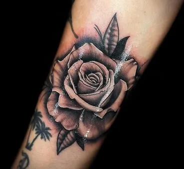 Black Rose Tattoo Design Ideas3 intricate Black Rose Tattoo Design