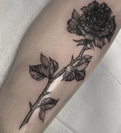 Black Rose Tattoo Design Ideas7 Black Rose with stem Tattoo Design