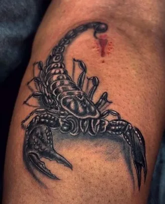 Historical and Cultural Significance of Scorpion Tattoos Historical and Cultural Significance of Scorpion Tattoos