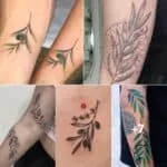 What Does a Tattoo of an Olive Branch Mean?