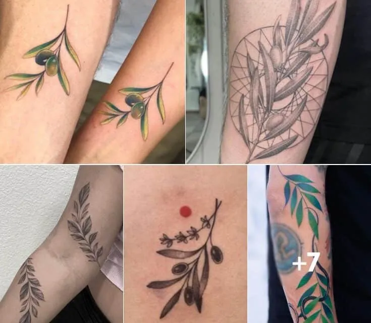What Does a Tattoo of an Olive Branch Mean?
