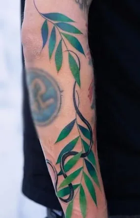 color palette olive branch tattoo idea color palette olive branch tattoo idea
