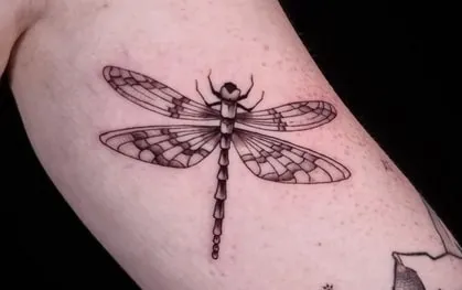 dragonfly tattoo design idea 15 dark dragonfly tattoo design idea