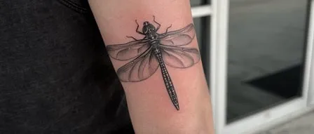dragonfly tattoo design idea 4 dragonfly tattoo design idea