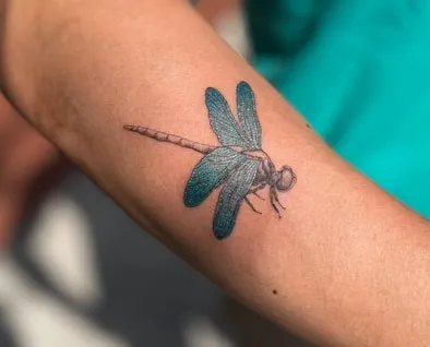 dragonfly tattoo design idea 7 realistic dragonfly tattoo design idea
