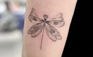 dragonfly tattoo design idea 8 flying dragonfly tattoo design idea