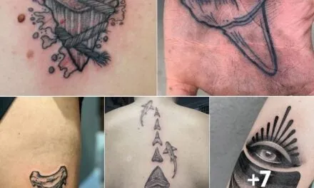 What’s the Meaning of a Shark Tooth Tattoo?
