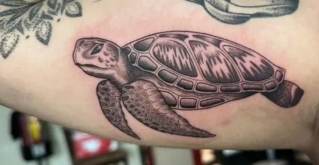 native american sea turtle tattoo