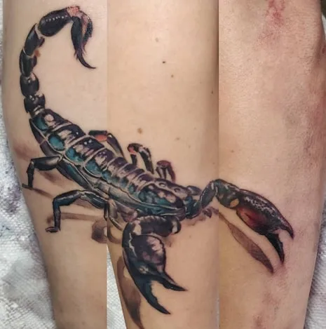scorpion tattoo design 8 hyper realism scorpion tattoo design