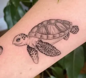 cute sea turtle tattoo design