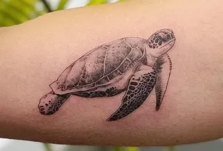 black and white sea turtle tattoo design