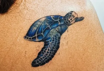 clean sea turtle tattoo design