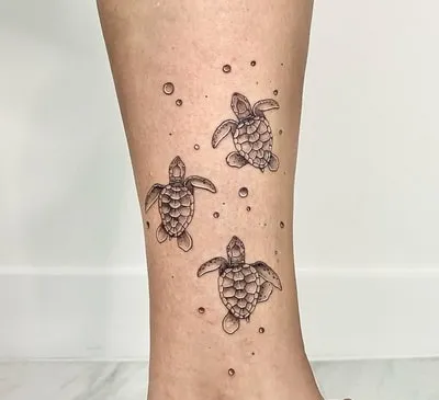 3 sea turtle tattoo design