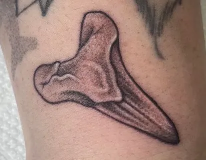 realistic shark tooth tattoo idea