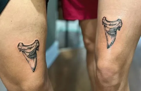 shark tooth tattoo on knee