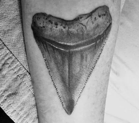 shark tooth tattoo placement