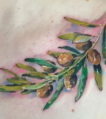 watercolor olive branch tattoo idea watercolor olive branch tattoo idea