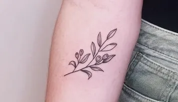 what does the tattoo of an olive branch mean what does the tattoo of an olive branch mean
