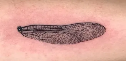 dragonfly wing tattoo