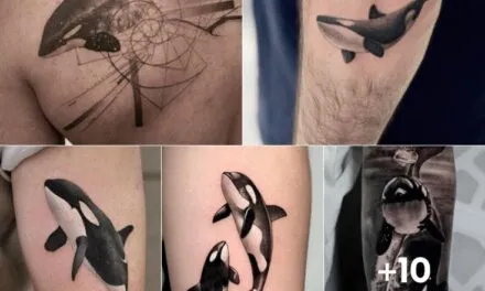 15+ Orca Tattoo Design Ideas | What Does a Tattoo of an Orca Mean?