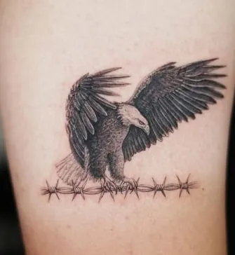barbed wire eagle tattoo design