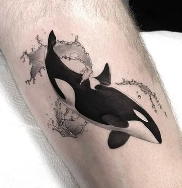 dotwork orca tattoo design