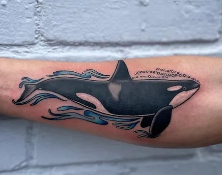 watercolor orca tattoo design