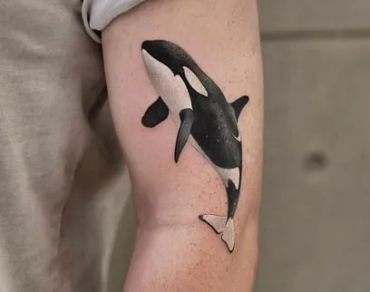 bicep orca tattoo design