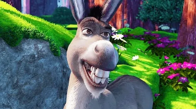 who is donkey
