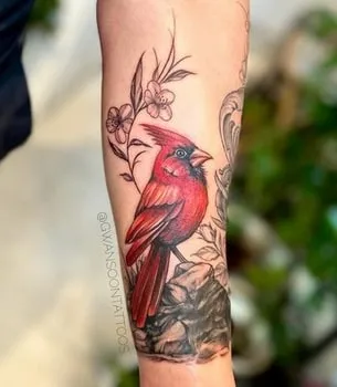 cardinal tattoo design 1 realistic cardinal tattoo design