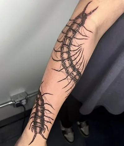 tokyo ghoul centipede tattoo design 5