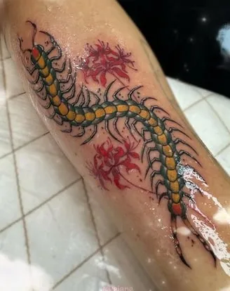 tokyo ghoul centipede tattoo design 9