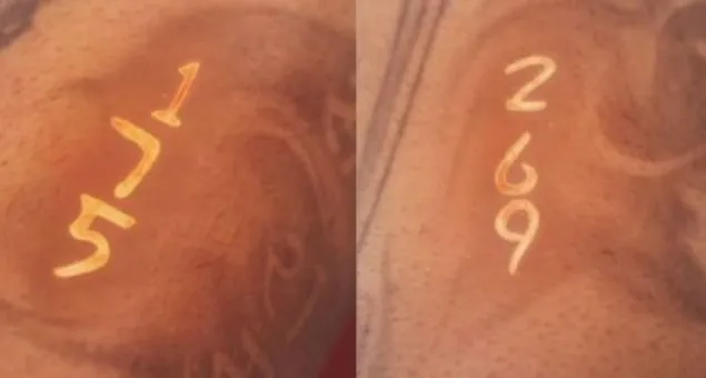 virat kohli 175 269 tattoo