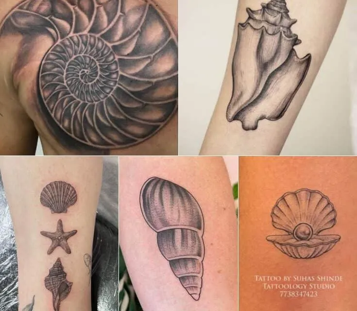What Do Shell Tattoos Mean | 10+ Design Ideas to Try Out
