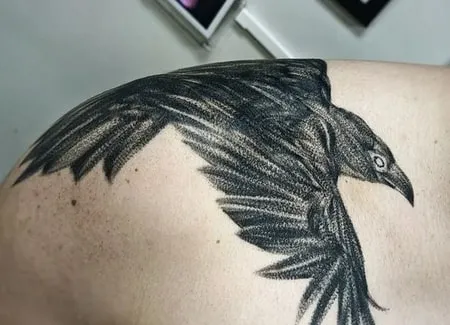 shoulder crow tattoo design for guys