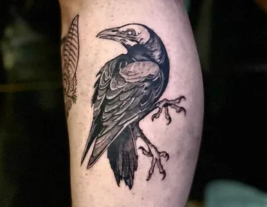 crow tattoo design for guys