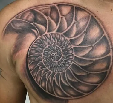 historical sugnificance of shell tattoos historical sugnificance of shell tattoos