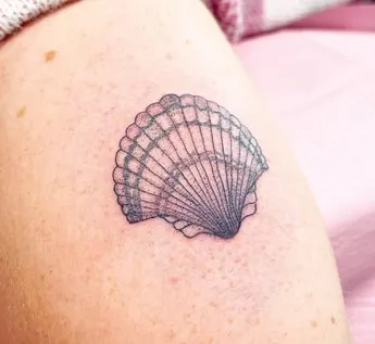 shell tattoo design variation 2 shaded shell tattoo design
