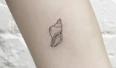 shell tattoo design variation 3 conch shell tattoo design