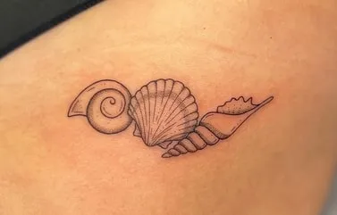 shell tattoo design variation 4 shell tattoo designs