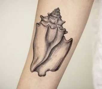 shell tattoo design variation 5 dotwork shell tattoo design